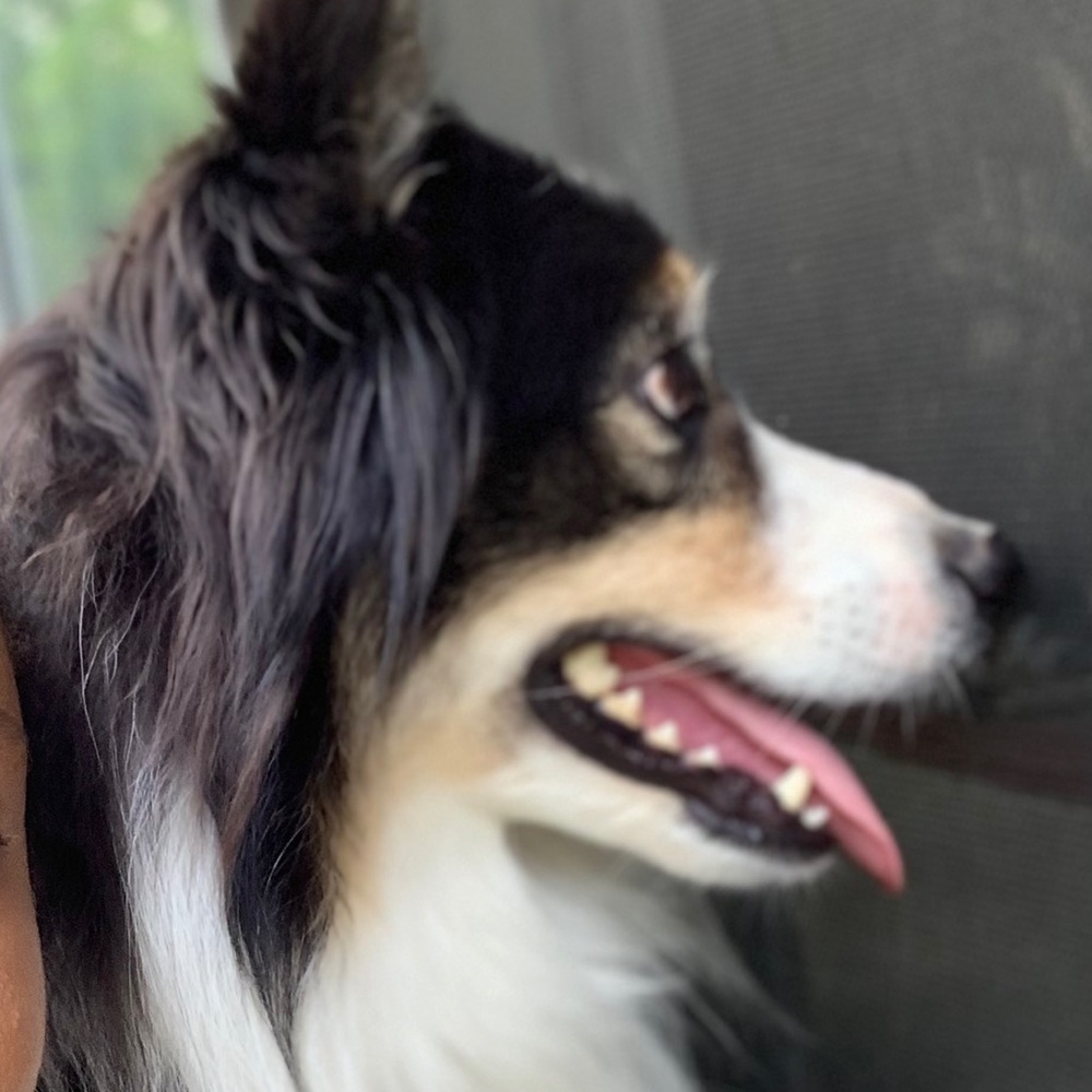 Meet your Posher, Julia